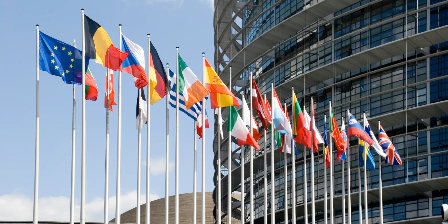 A row of national flags outside a parliament building